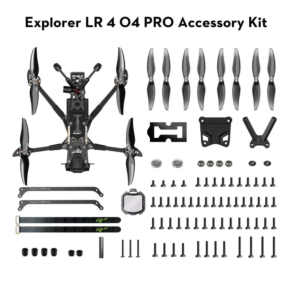 Explorer LR 4 O4 PRO Sub250 4K/1080P Micro Long Range